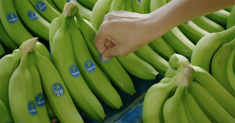 3 Companies Using XR to Promote Sustainability