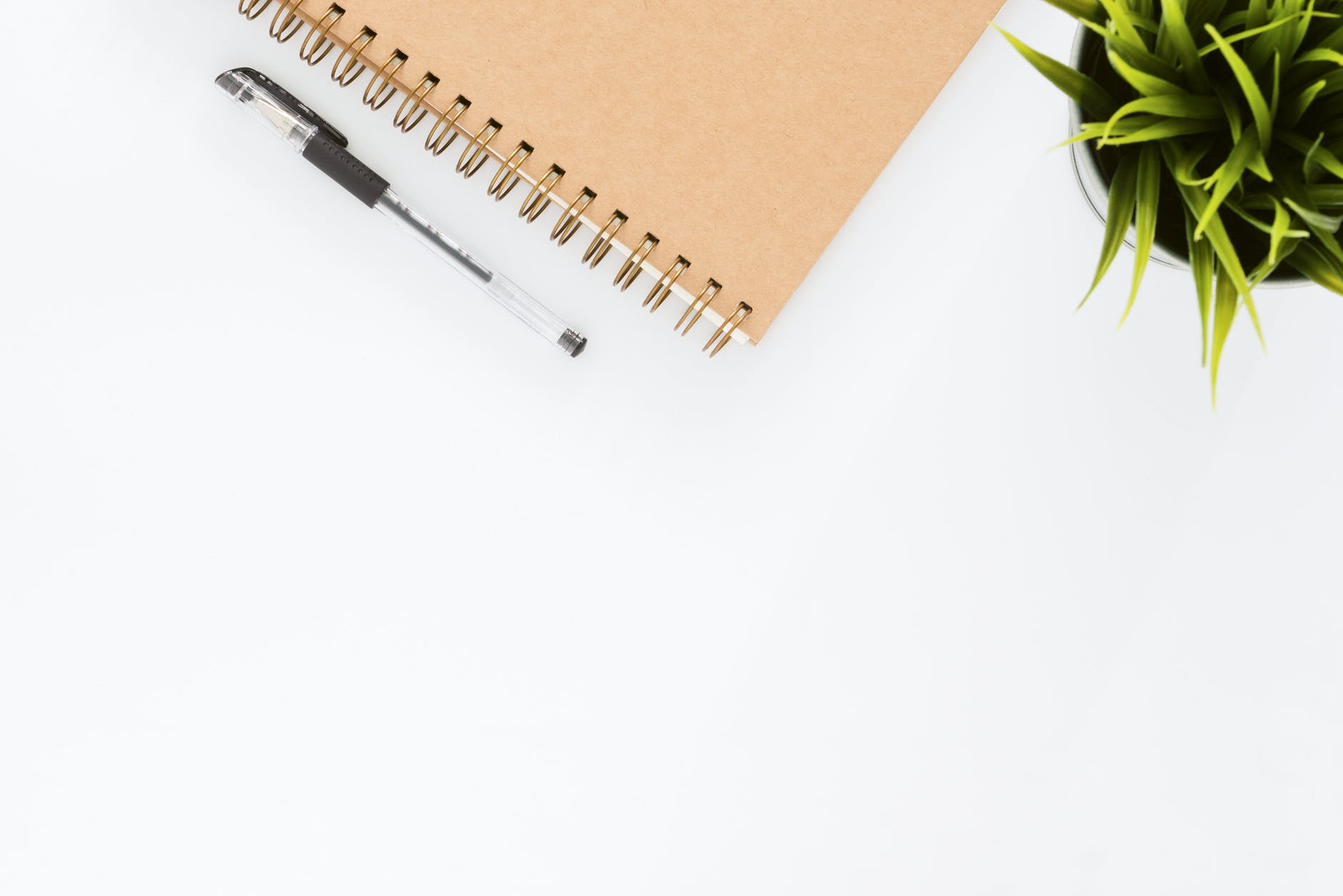 Blank notebook and pen on a white background with a plant in the corner