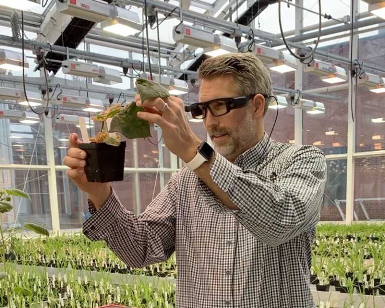 A man wearing glasses and a checkered shirt is examining a plant in a greenhouse setting