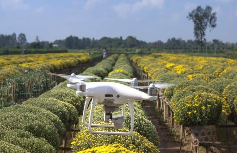 Drone flying over a colorful flower field, with rows of yellow flowers and green bushes in the foreground