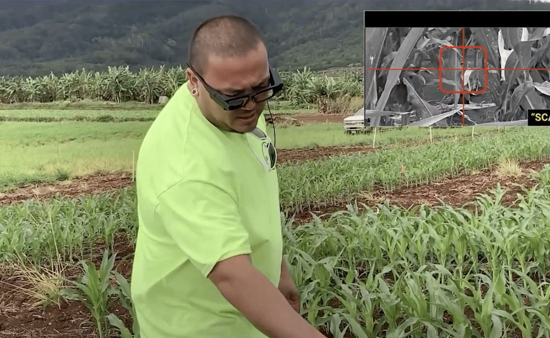 Heads-up and Hands-free: Why Enterprise Augmented Reality Doesn’t Have to be Complicated