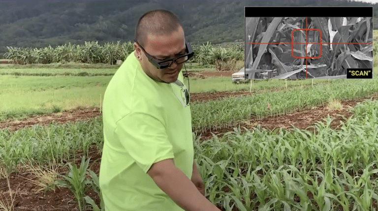 A man in a bright green shirt examines crops in an agricultural field with lush green plants and a mountainous background